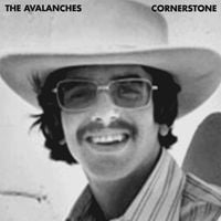The Avalanches - Live at Cornerstone