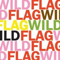Wild Flag - Future Crimes B/W Glass Tambourine