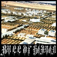 Bull of Heaven - 113: The Light Higher Than Eyesight