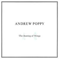 Andrew Poppy - The Beating of Wings