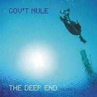 Gov't Mule - The Deep End, Volume 1
