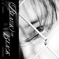 PARK JI HOON - Blank or Black