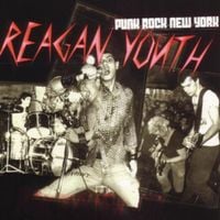 Reagan Youth - Punk rock New York