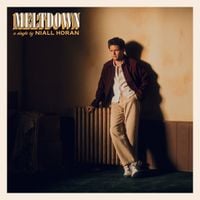 Niall Horan - Meltdown