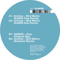 Actress - Bird Matrix (Remixes)