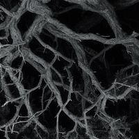 Penelope Trappes - Heavenly Spheres