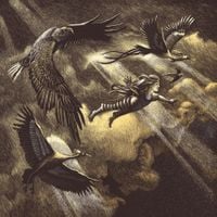 Sangre de Mu&eacute;rdago - O Vento que Lambe as mi​&ntilde;​as Feridas