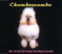 Chumbawamba - She's Got All the Friends That Money Can Buy