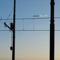 Kodomo - Still Life