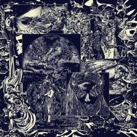 Rose Laurel - Sparrows Can See the Soul&rsquo;s Descent