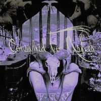 Cast in Blood - Consumed to Ashes