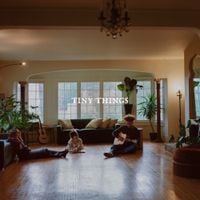 Tiny Habits - Tiny Things