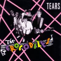 The Crocodiles - Tears