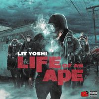 Lit Yoshi - Life of An Ape