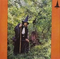 Gandalf The Grey - The Grey Wizard Am I