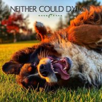 Neither Could Dylan - Acceptance