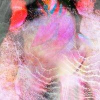 Wild Arrows - Loving the Void