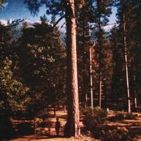 Portraits Of Tracy - W. McKinley