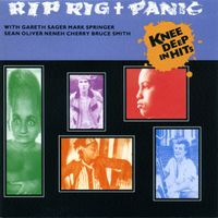 Rip Rig & Panic - Knee Deep in Hits