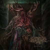 The Absolution Sequence - Silent King