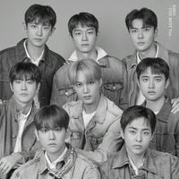 EXO - BIRD - THE BEST Ver.