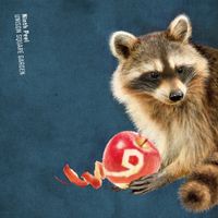 UNISON SQUARE GARDEN - Ninth Peel