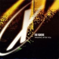Foo Fighters - Walking After You