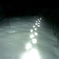 Iwakura - ╼
