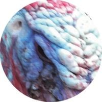 Masami Akita - Wattle