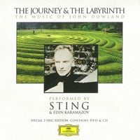 Sting & Edin Karamazov - The Journey and the Labyrinth