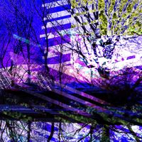 633397 - Creek