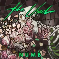 The Used - Numb
