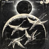 The Ducks - High Flyin'