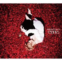 Acid Black Cherry - 『2012』