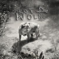 DOROTA - Wolne