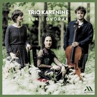 Trio Kar&eacute;nine - Suk - Dvoř&aacute;k