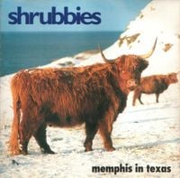 Shrubbies - Memphis in Texas