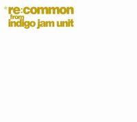 Indigo Jam Unit - re:common from indigo jam unit