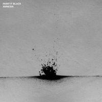 Paint It Black - Amnesia
