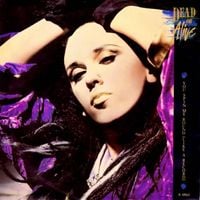 Dead or Alive - You Spin Me Round (Like a Record)