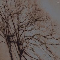 Juan Berdugo - 4