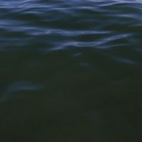 Markmuffins - iwishmyhousewasbythewater