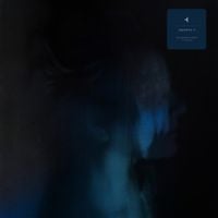 How to Disappear Completely - Absentia II