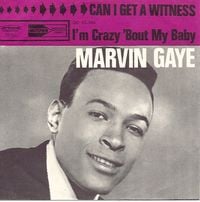 Marvin Gaye - Can I Get a Witness