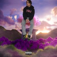 PlaqueBoyMax - 5$Tar