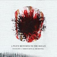 Светлост [Svetlost] - A Wave Returns to the Ocean