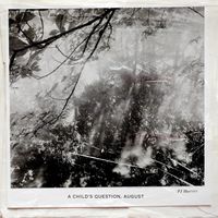 PJ Harvey - A Child's Question, August
