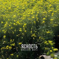 Lucidity - The Minsk Sea