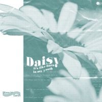 wave to earth - daisy.