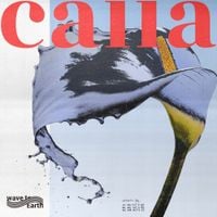 wave to earth - calla
